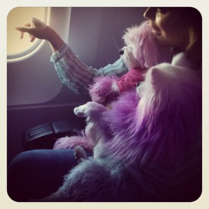 Aubrey and her dogs Aubrey and her dogs