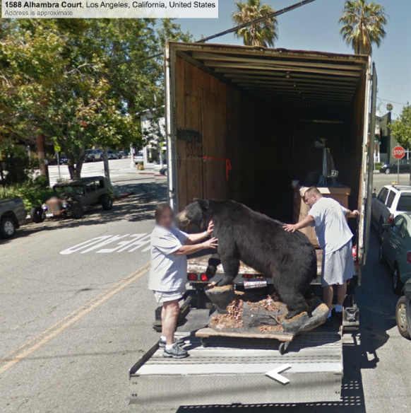 Bear attack in&nbsp;L.A.